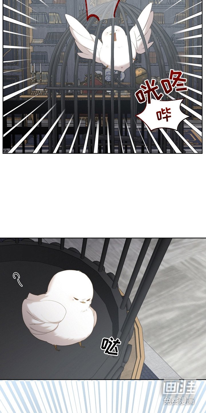 第8章：先发制人