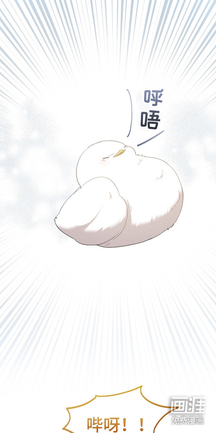 第8章：先发制人