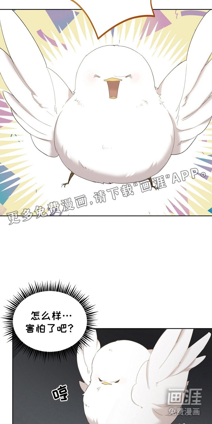 第8章：先发制人