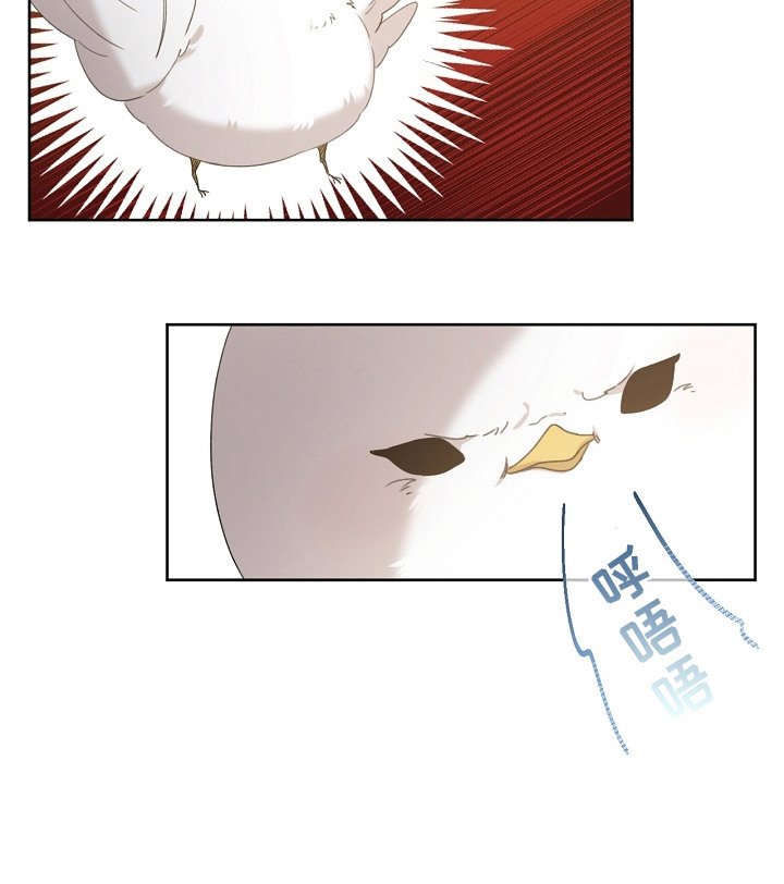 第8章：先发制人