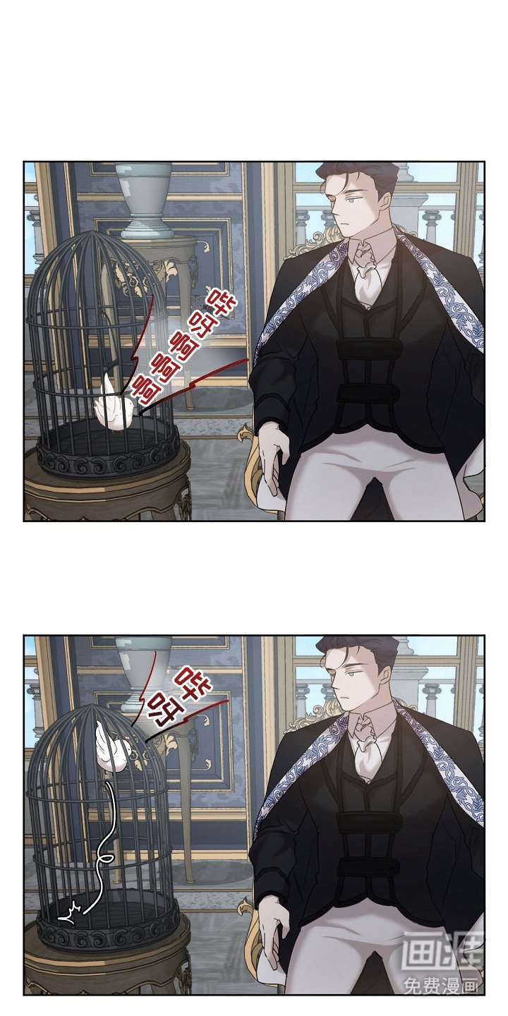 第9章：选中收养