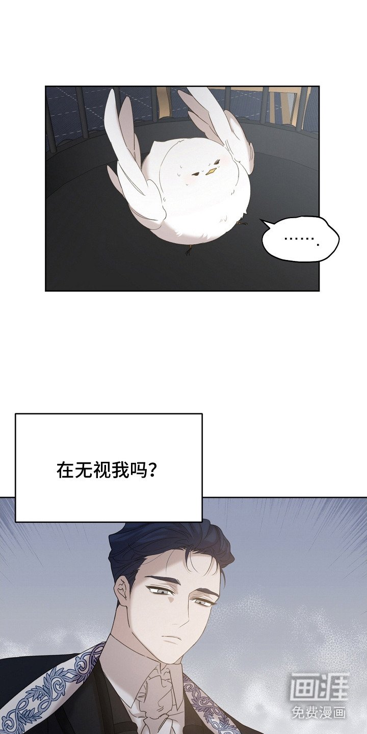 第9章：选中收养