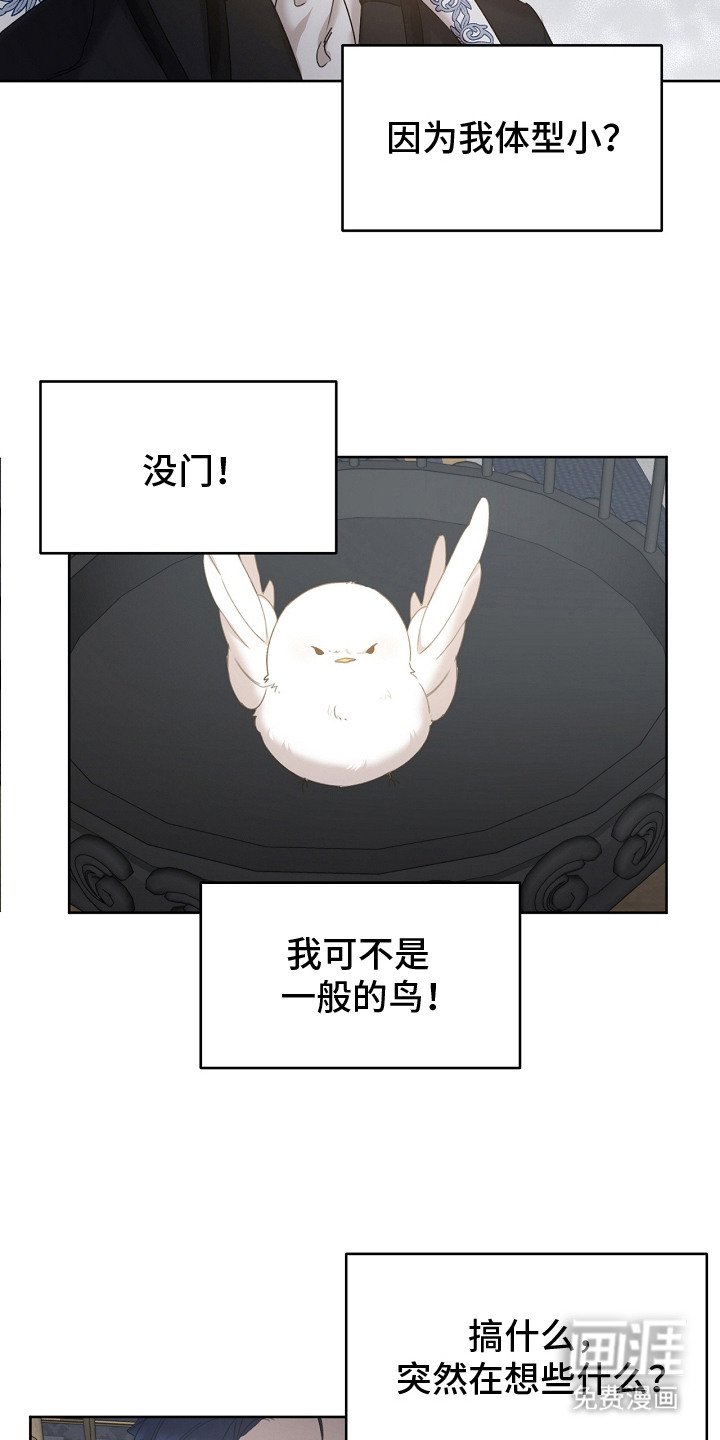 第9章：选中收养