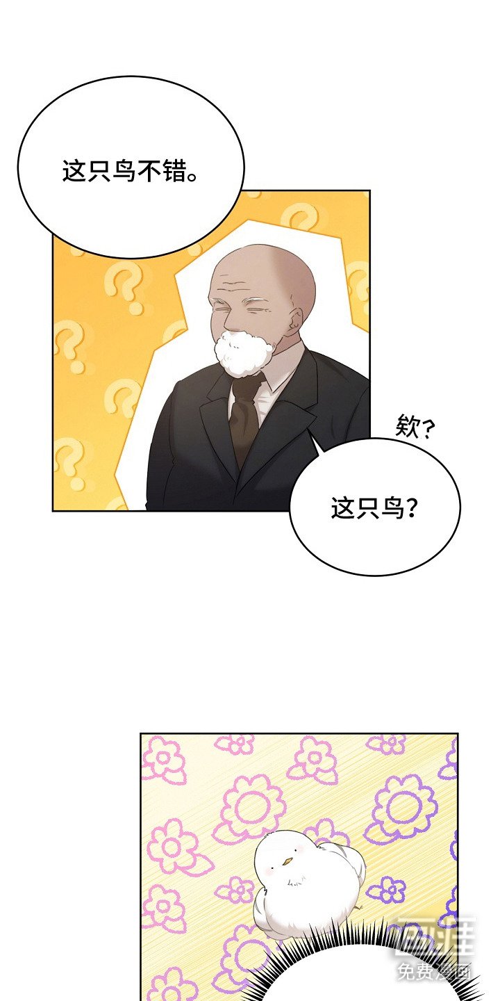 第9章：选中收养
