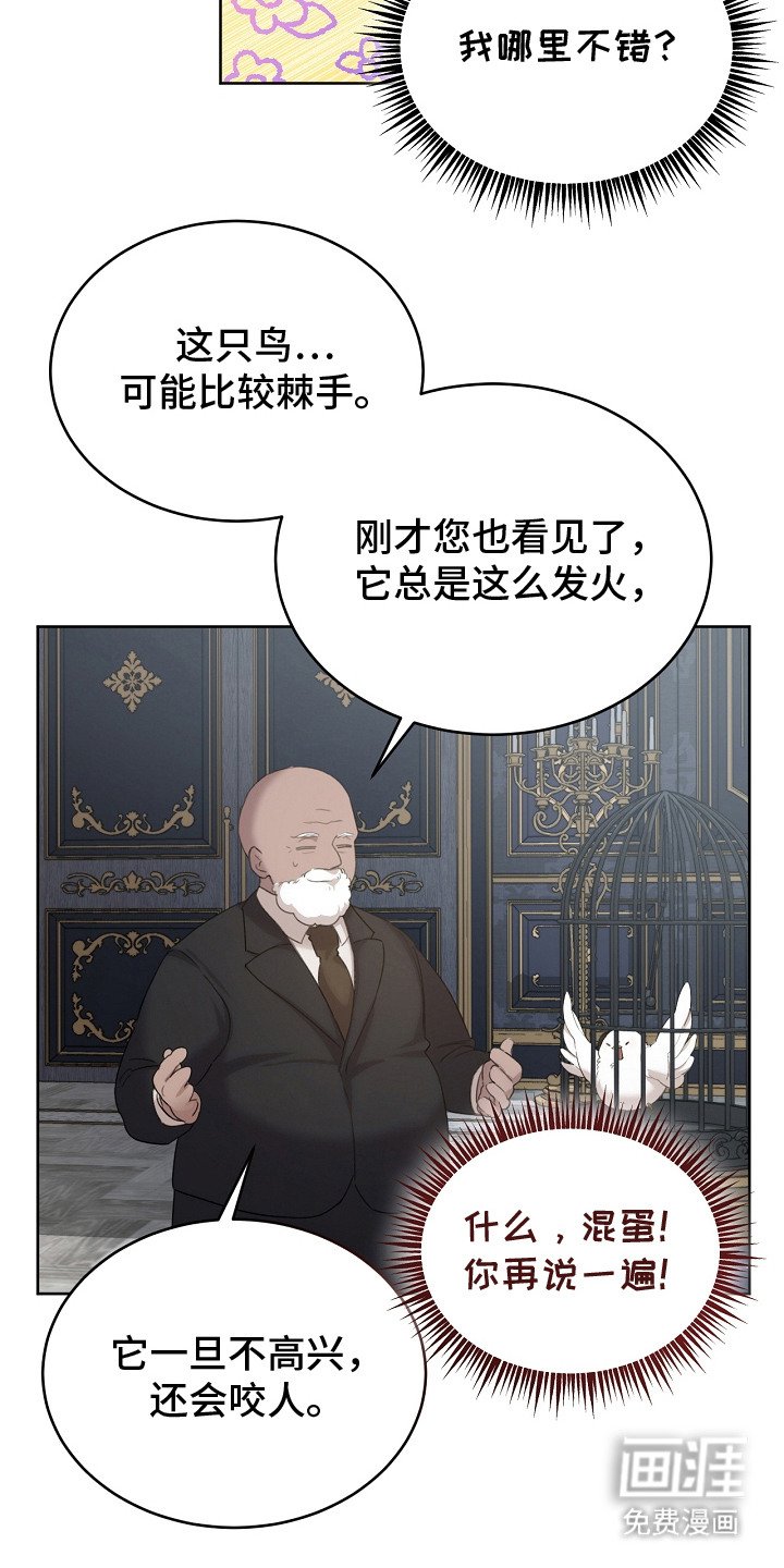 第9章：选中收养