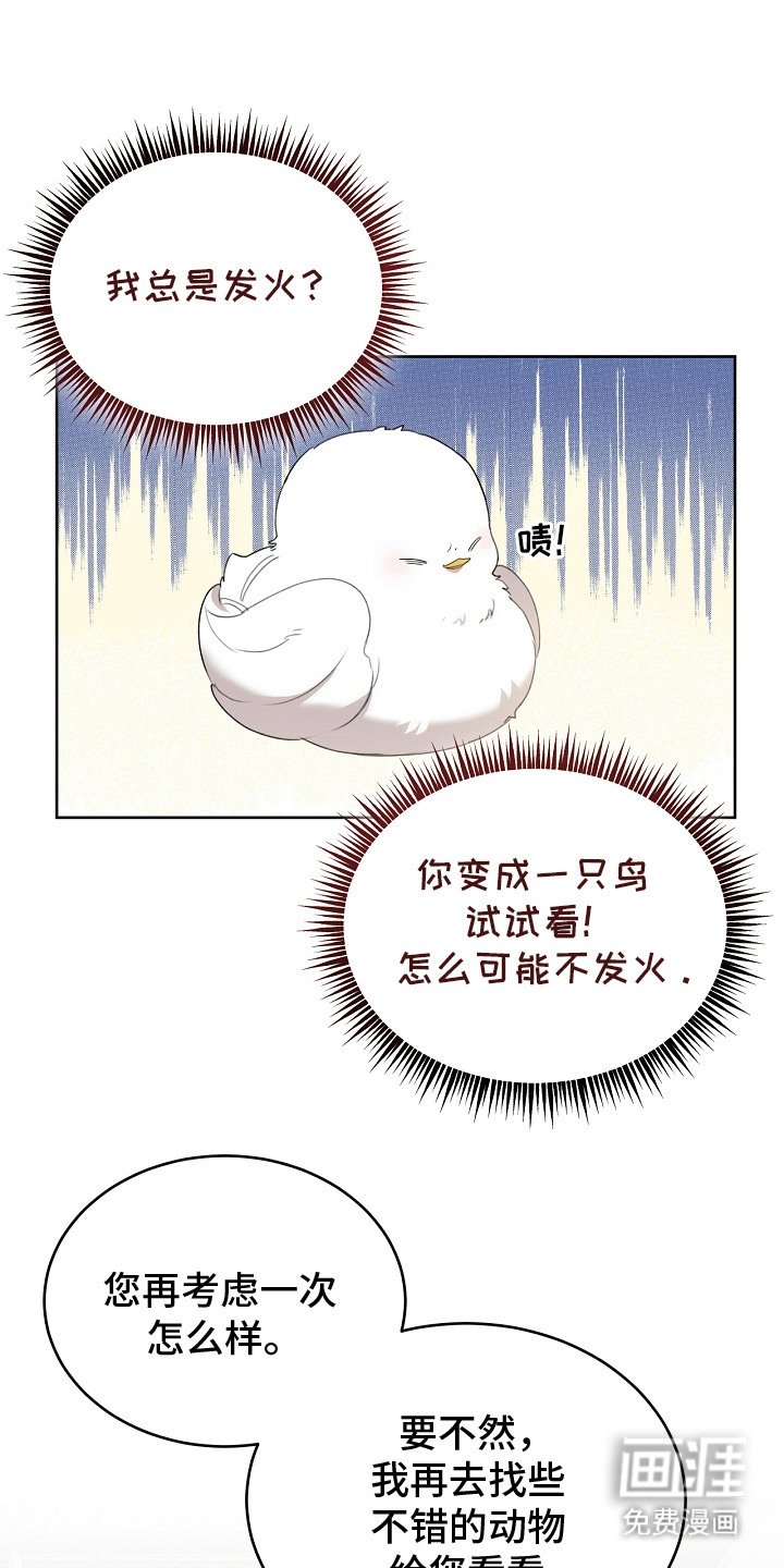 第9章：选中收养