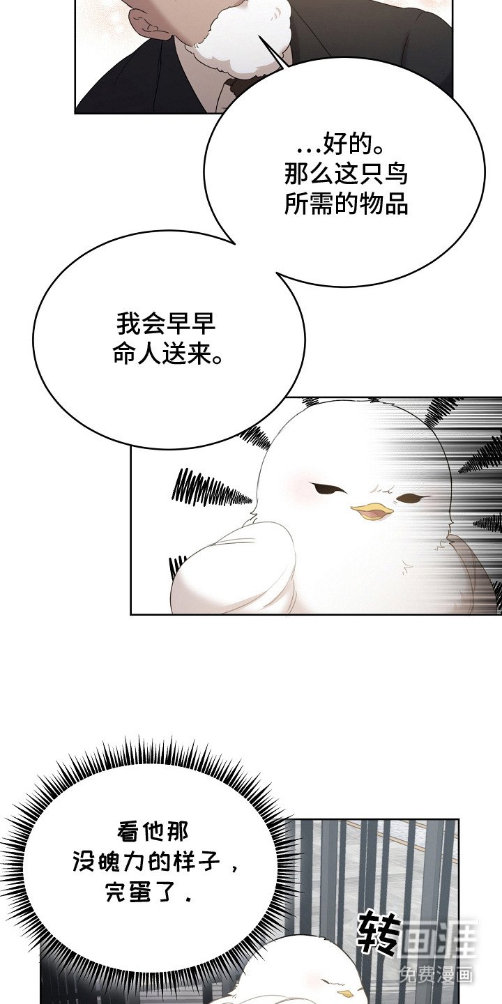 第9章：选中收养