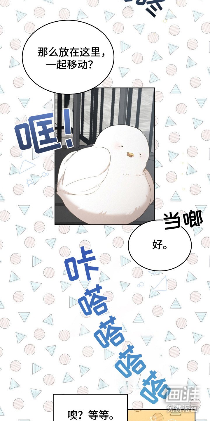 第9章：选中收养