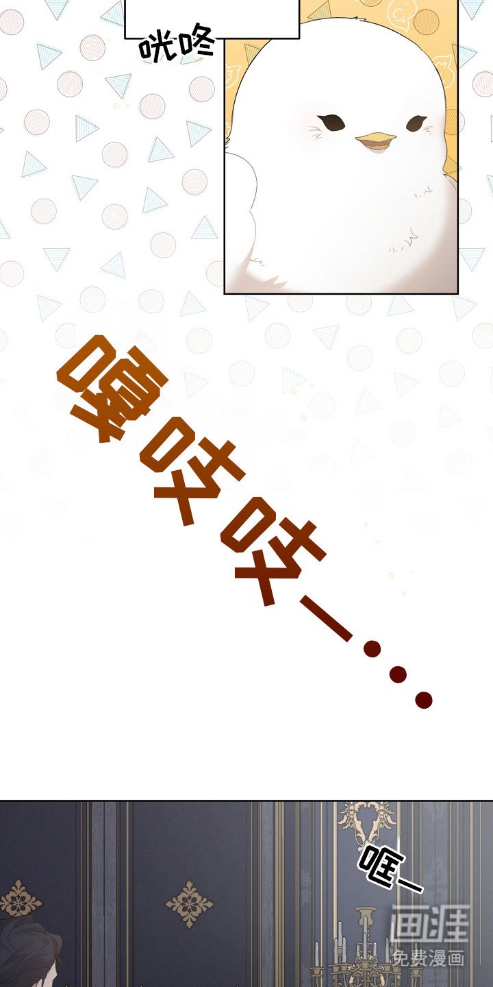 第9章：选中收养