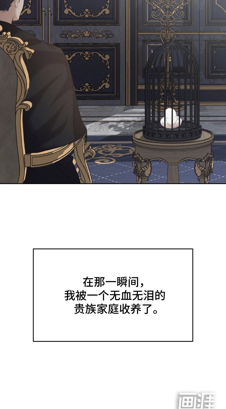第9章：选中收养