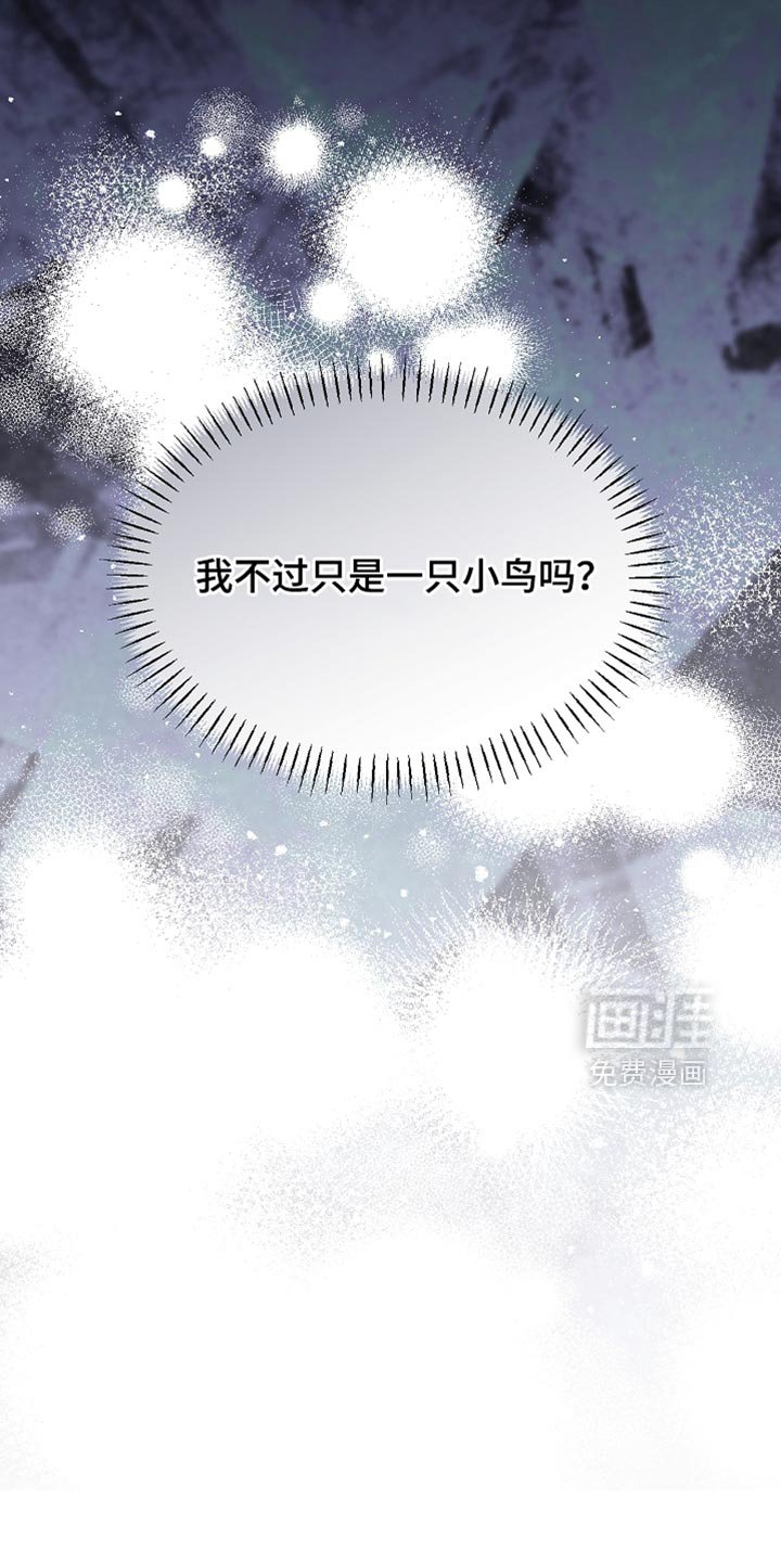 第97章：【第二季】平静的生活