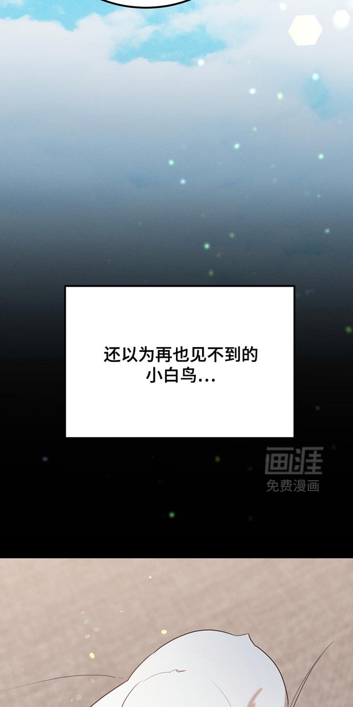 第99章：【第二季】他正在担心我