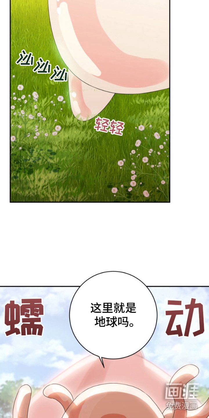 第1章：迫降