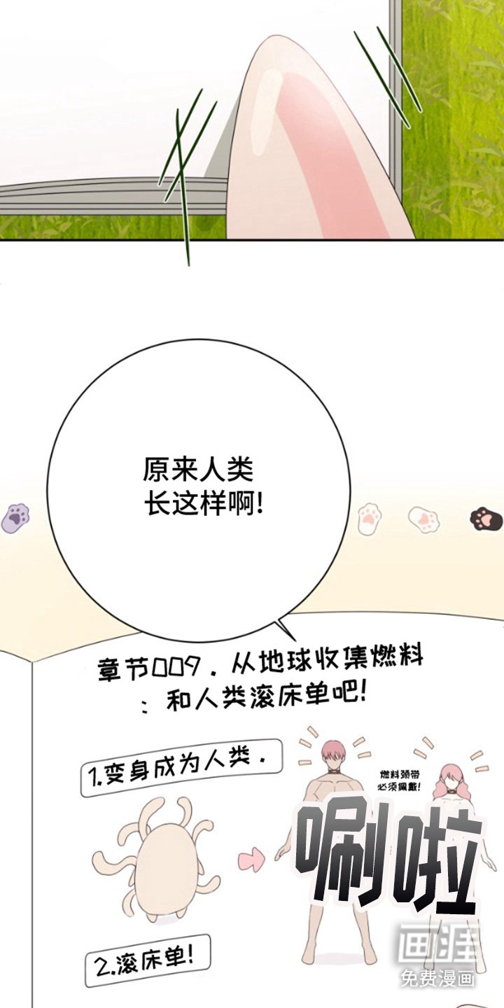 第1章：迫降