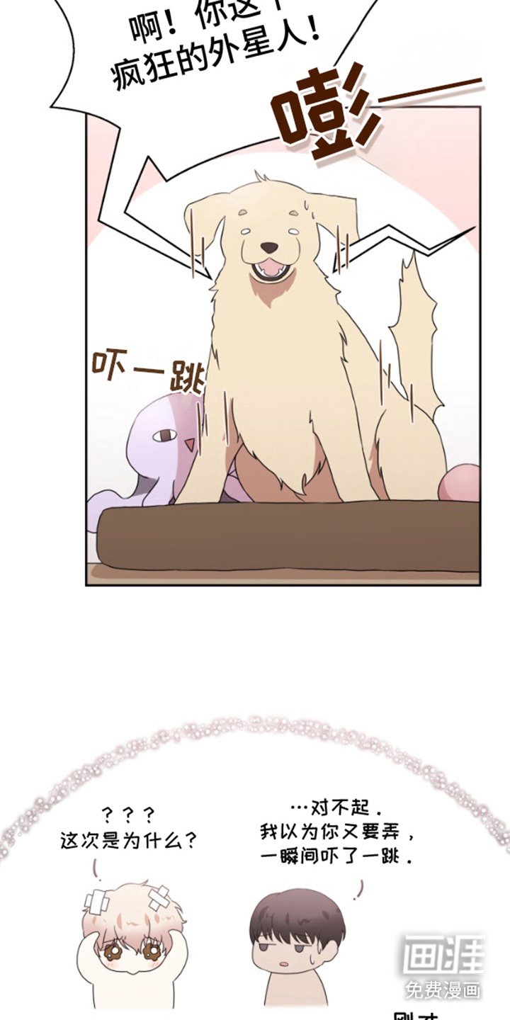 第10章：缺乏常识