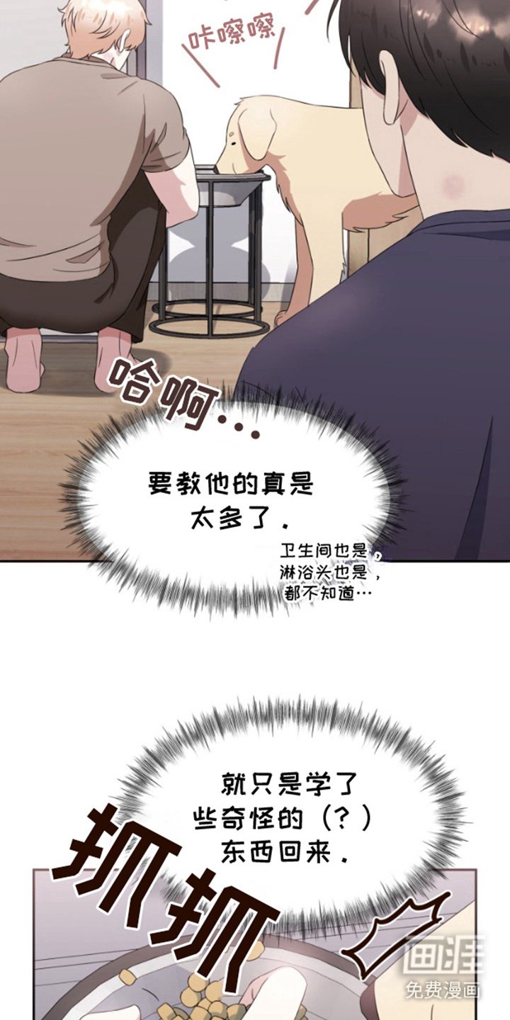 第10章：缺乏常识