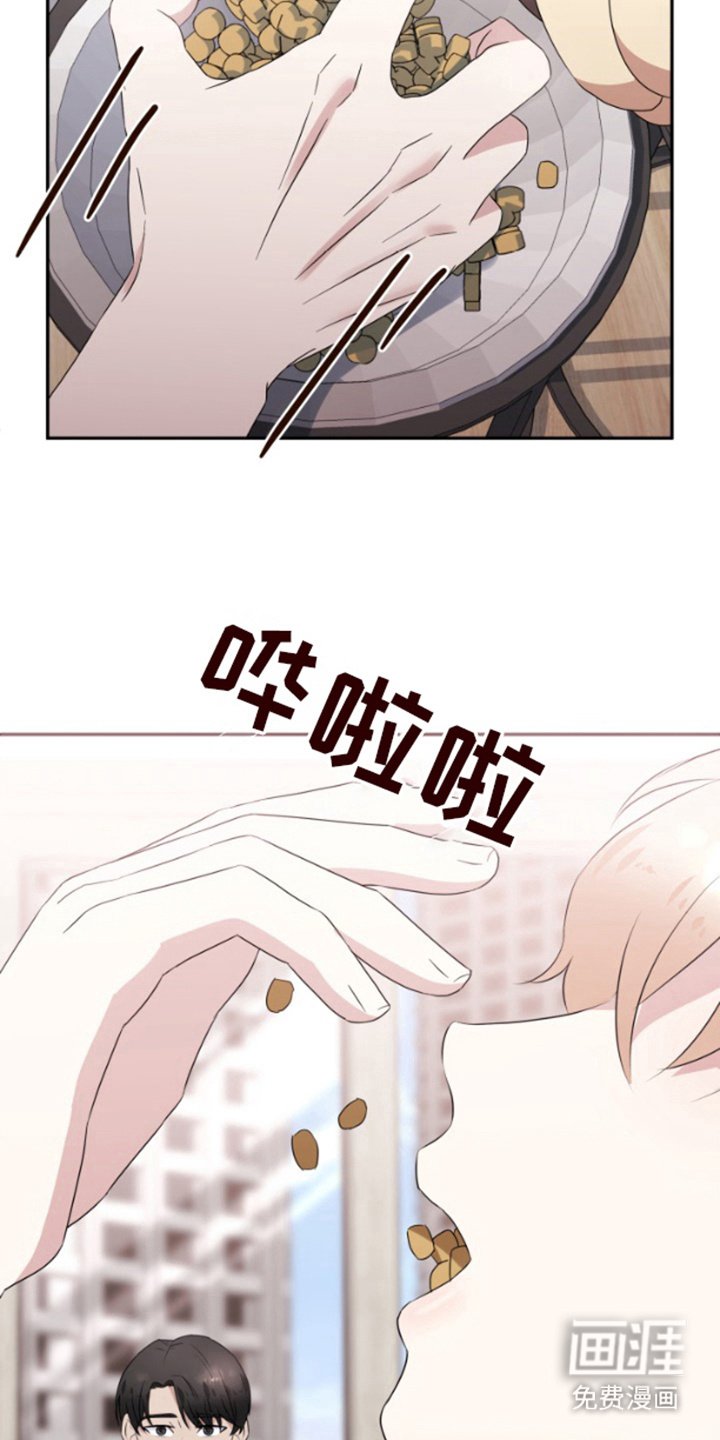 第10章：缺乏常识