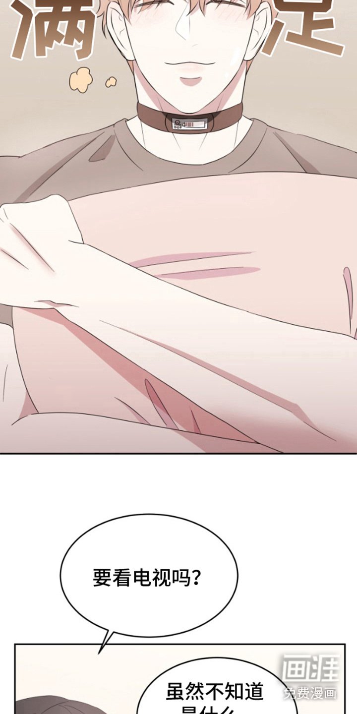 第11章：好奇