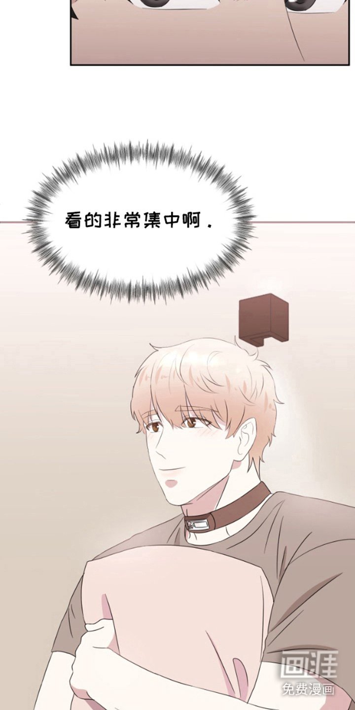 第11章：好奇