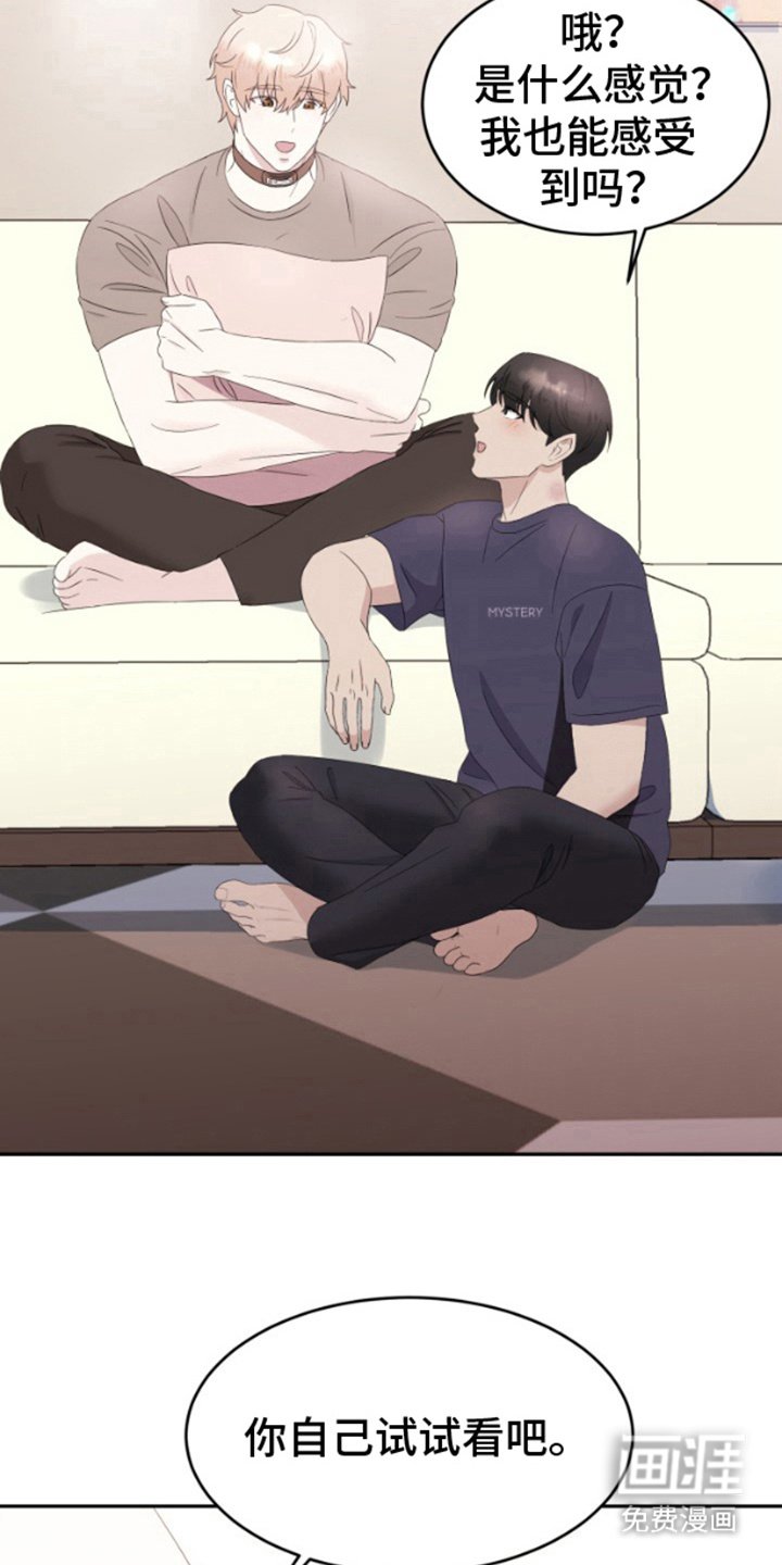 第12章：试试看