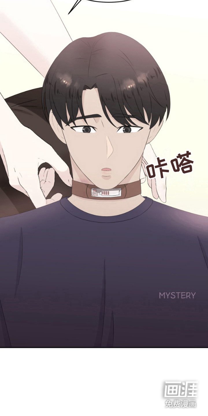 第12章：试试看