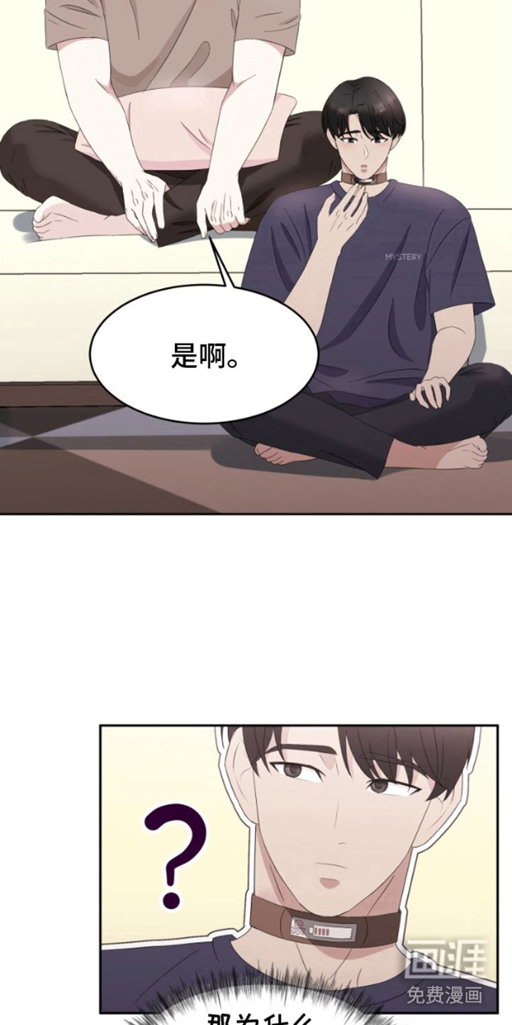 第12章：试试看
