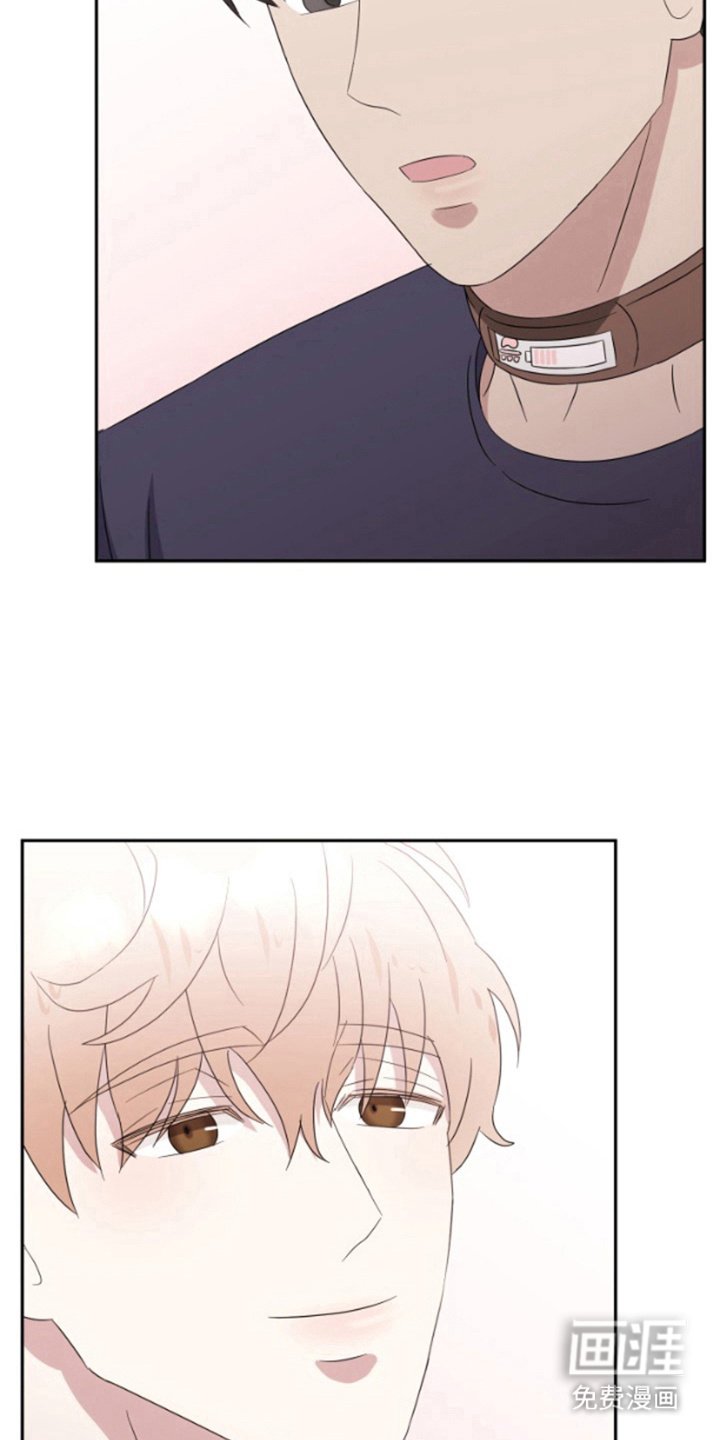 第12章：试试看