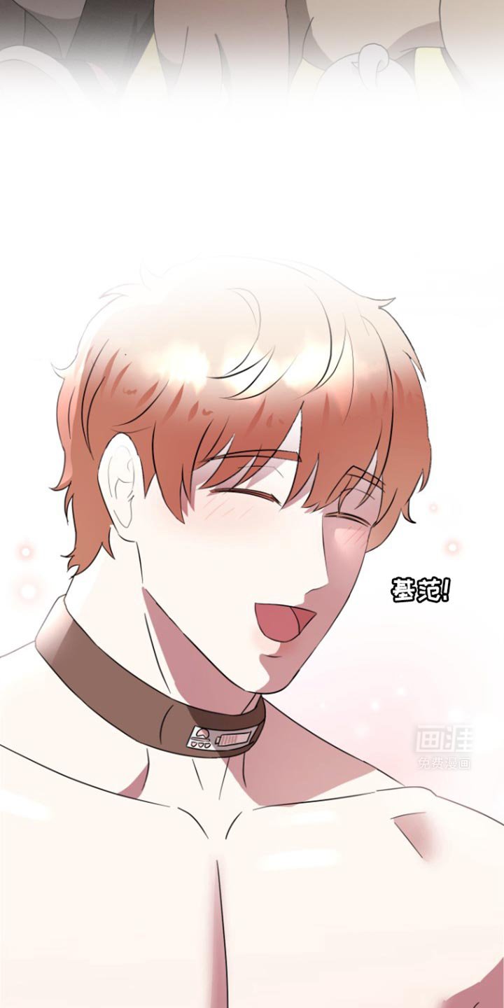 第17章：负起全责