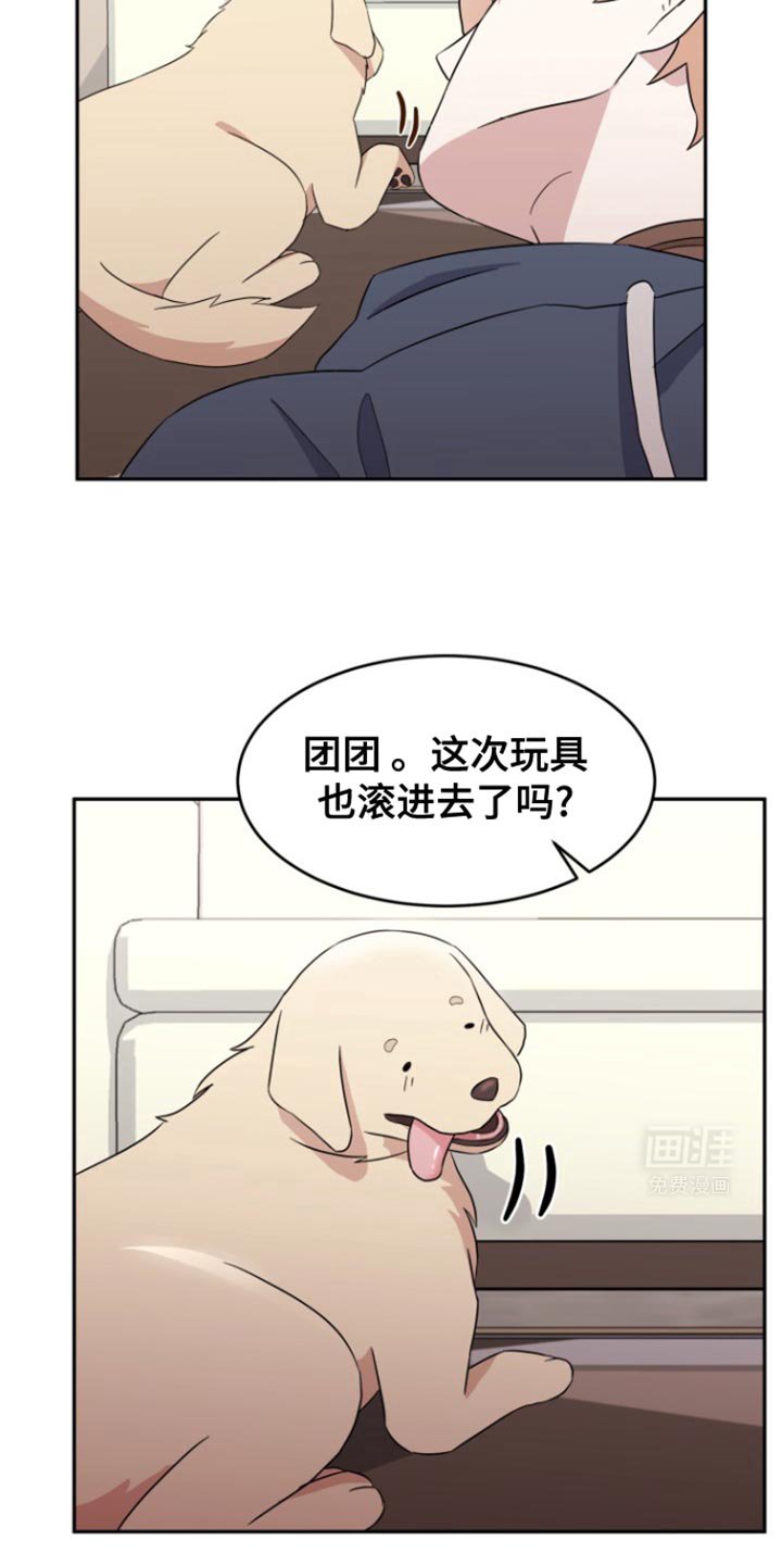第17章：负起全责