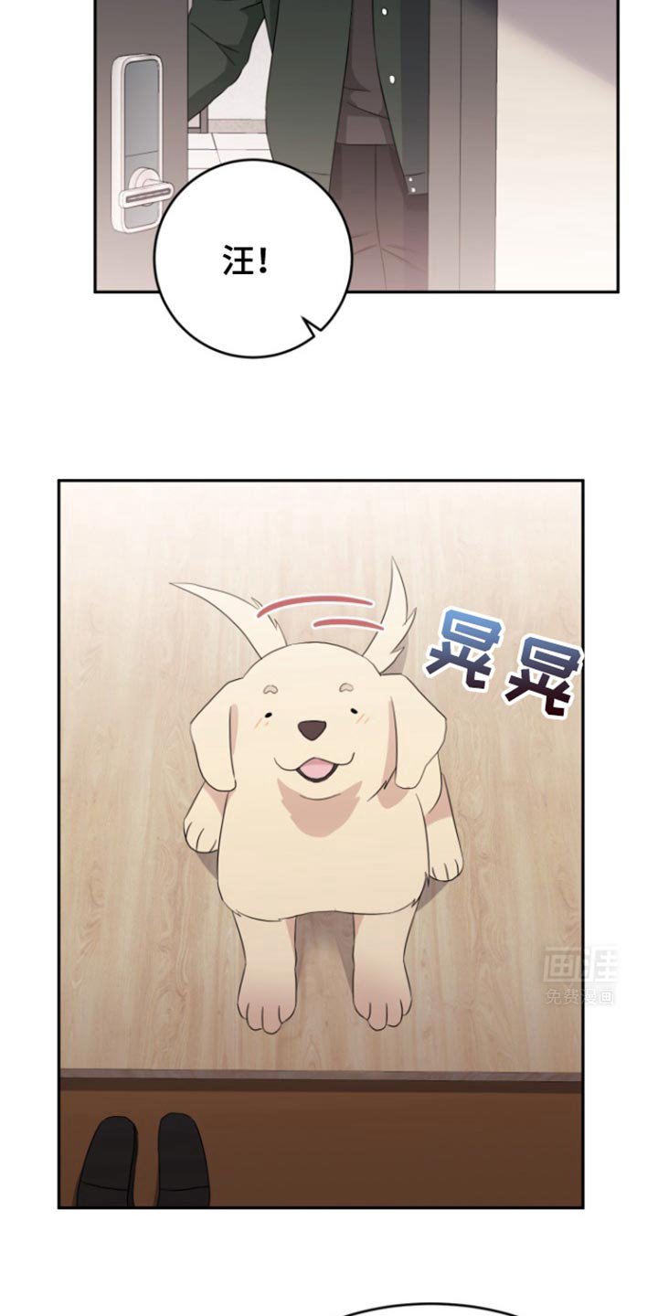 第19章：已经太晚了
