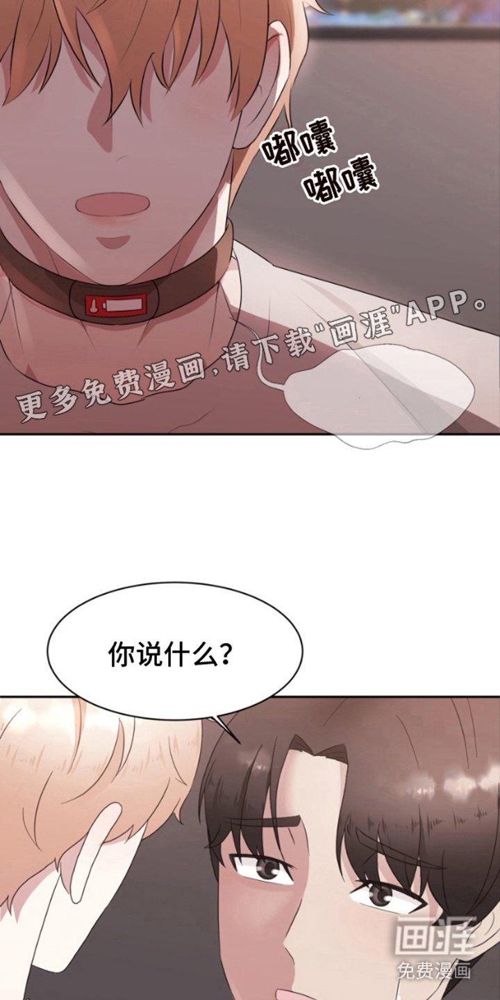 第3章：开动了