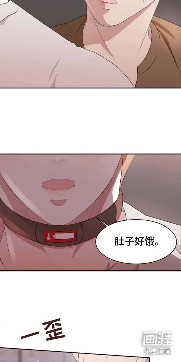 第3章：开动了