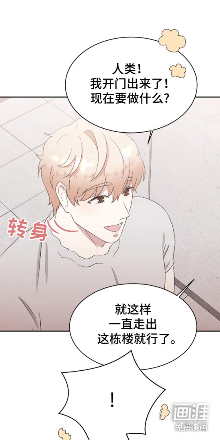 第5章：花样百出