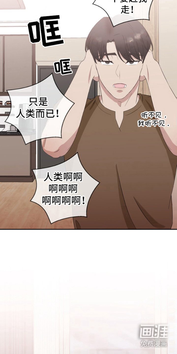 第5章：花样百出