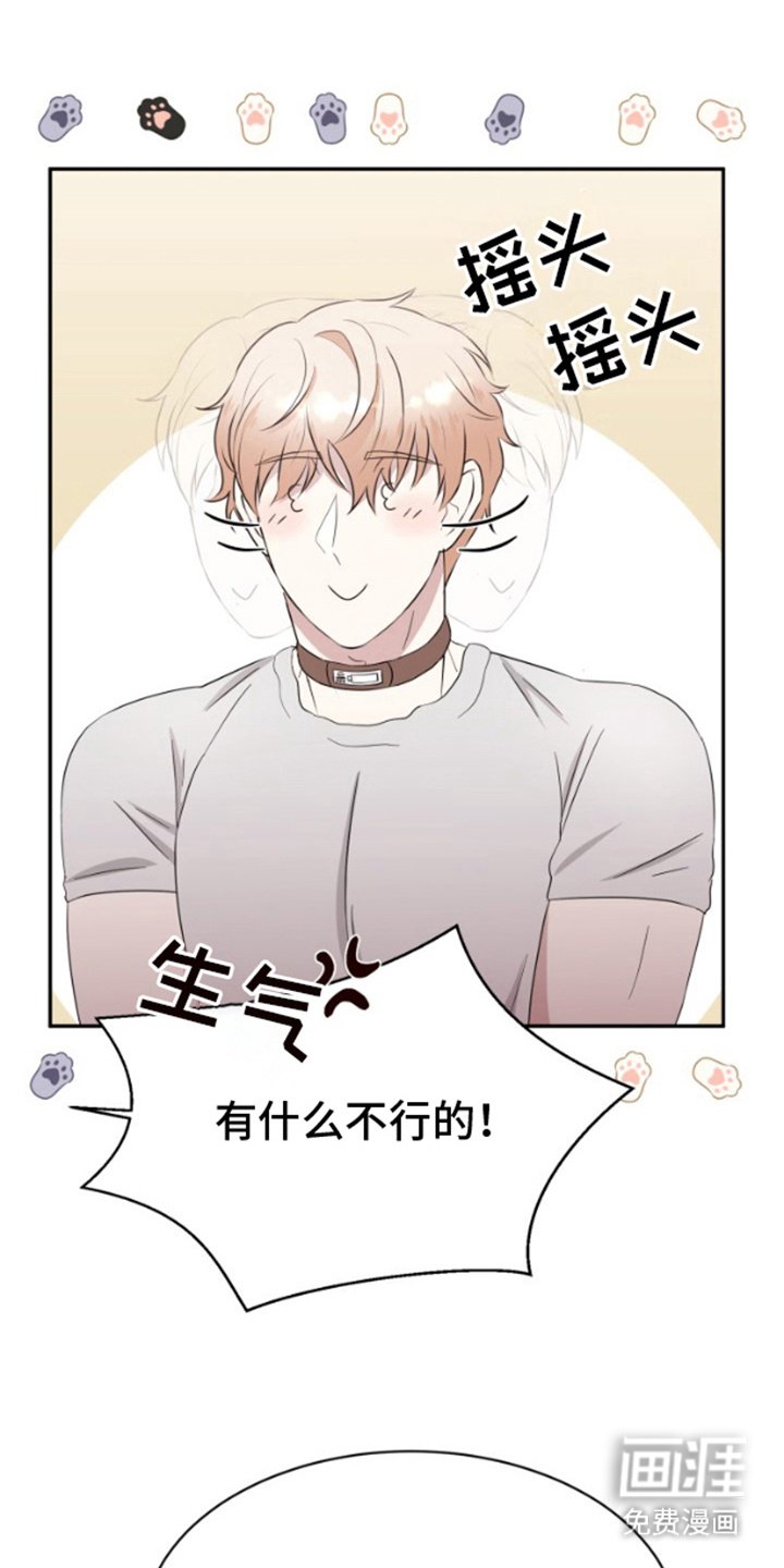 第5章：花样百出