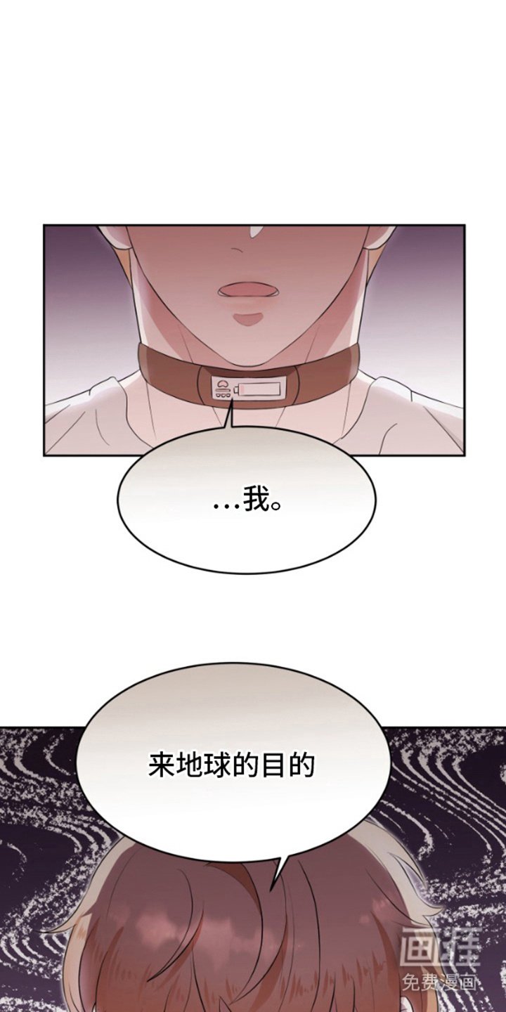 第6章：真正目的