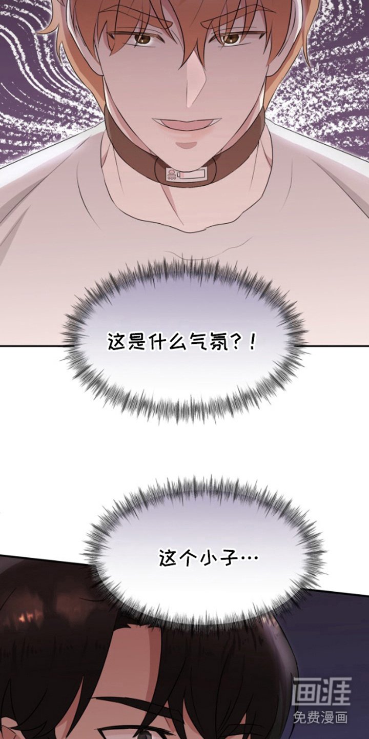 第6章：真正目的