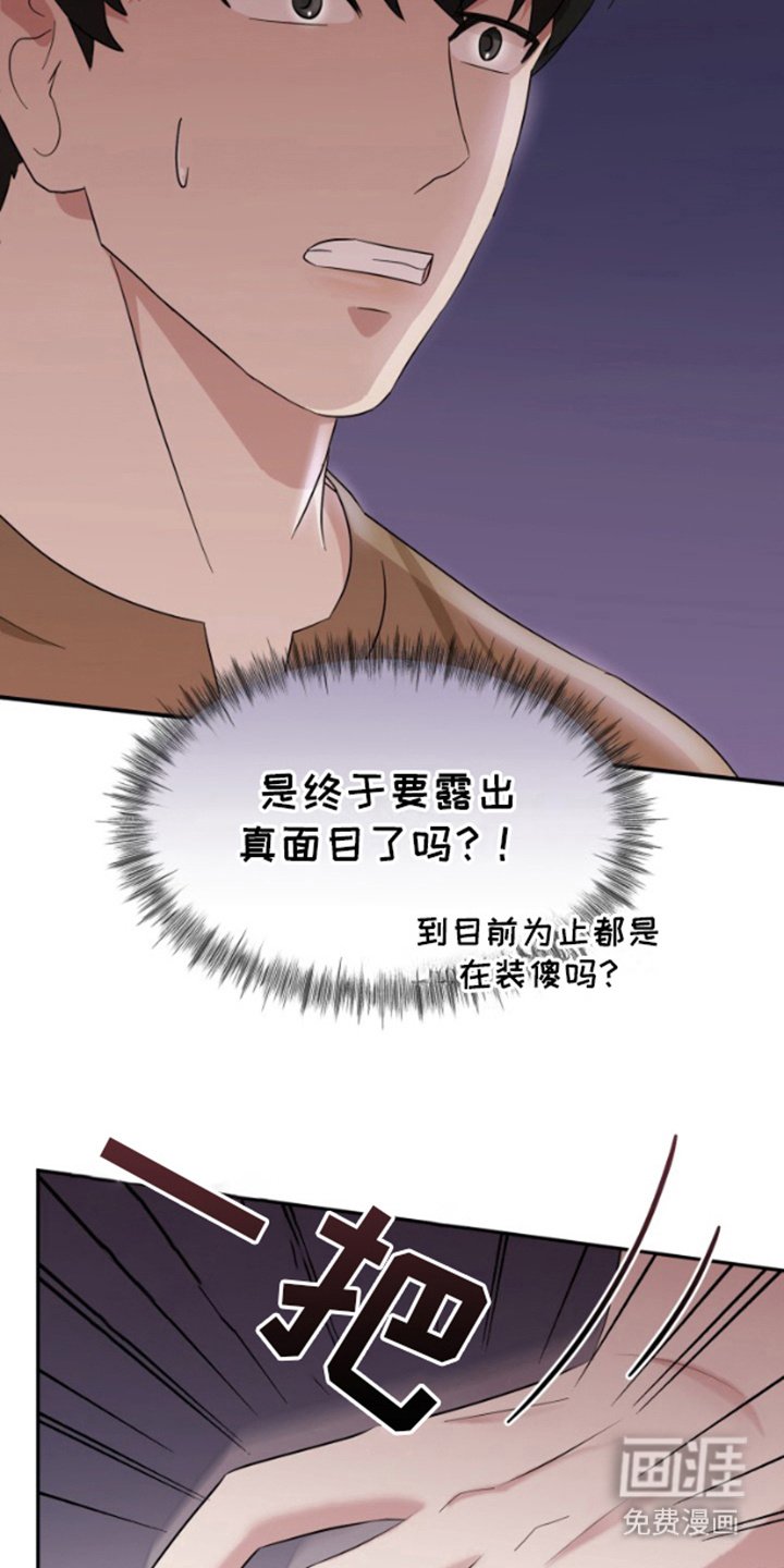 第6章：真正目的