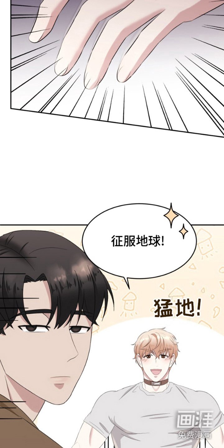 第6章：真正目的