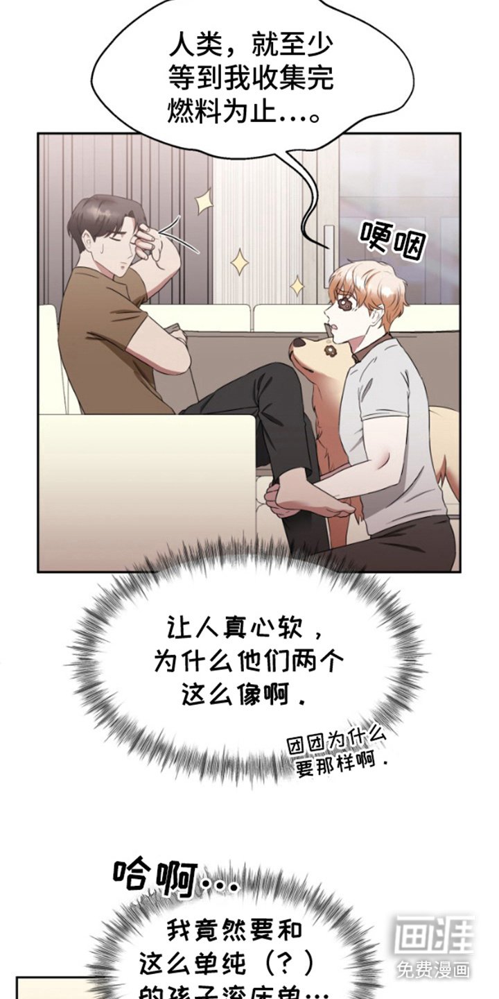 第6章：真正目的
