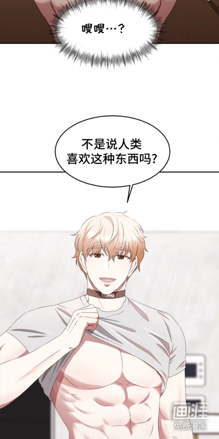 第6章：真正目的
