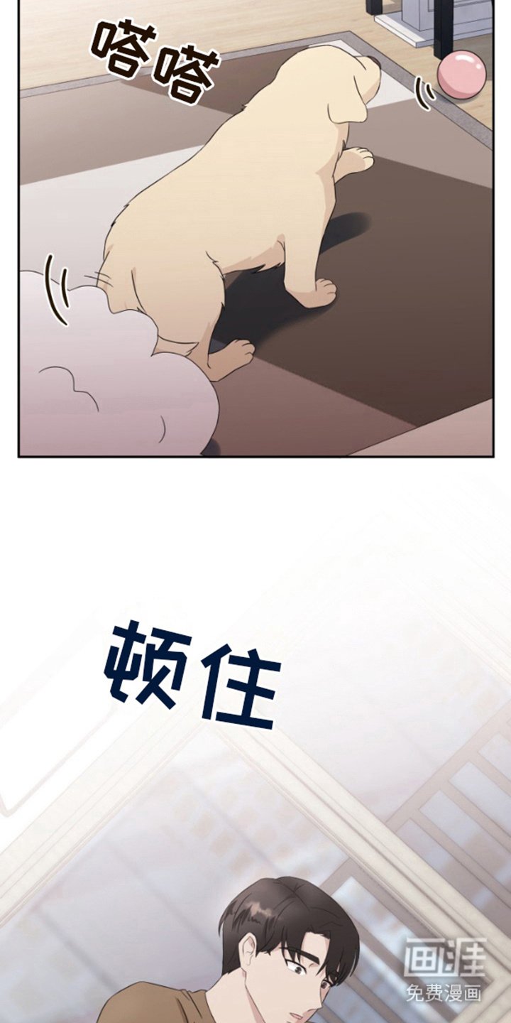 第8章：很可爱
