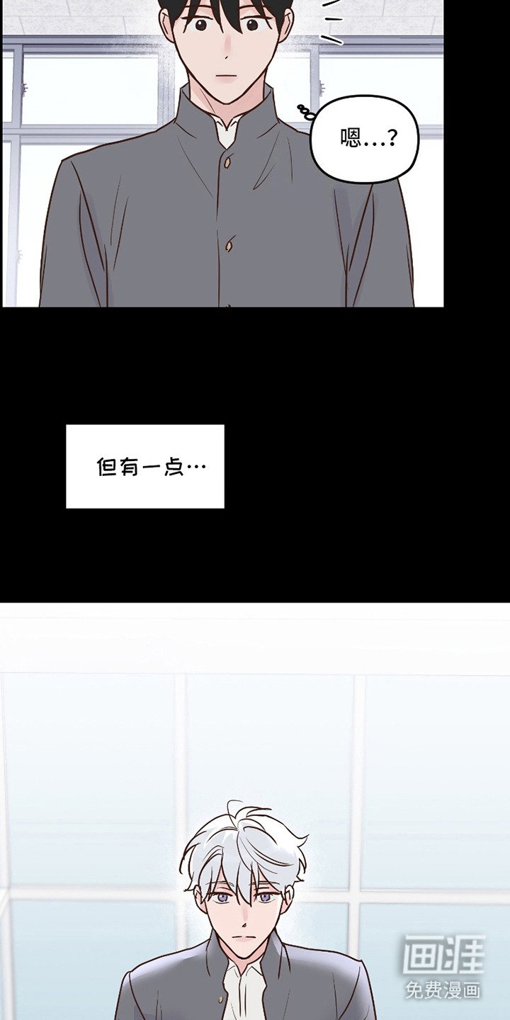 第12章：照片