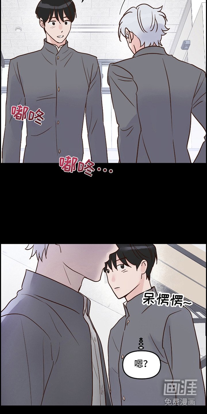第12章：照片