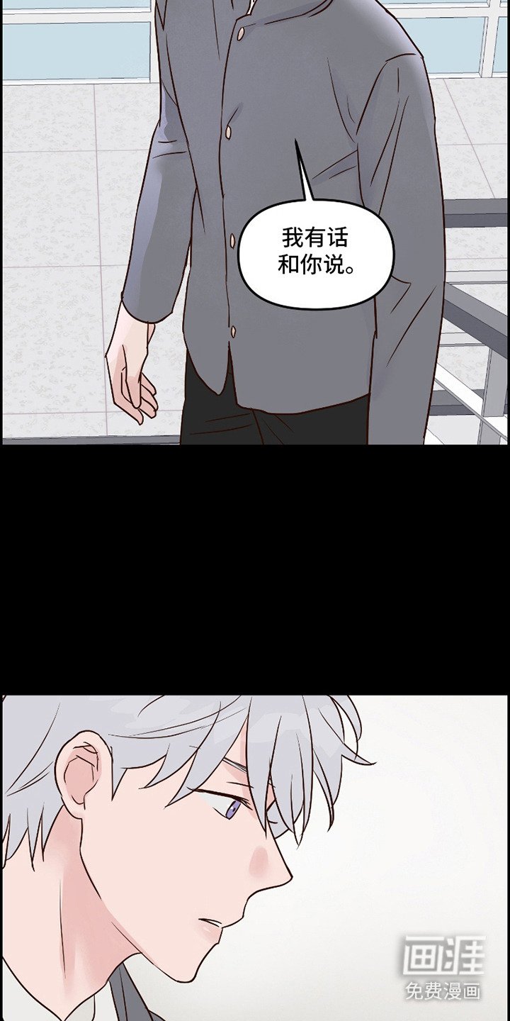 第12章：照片