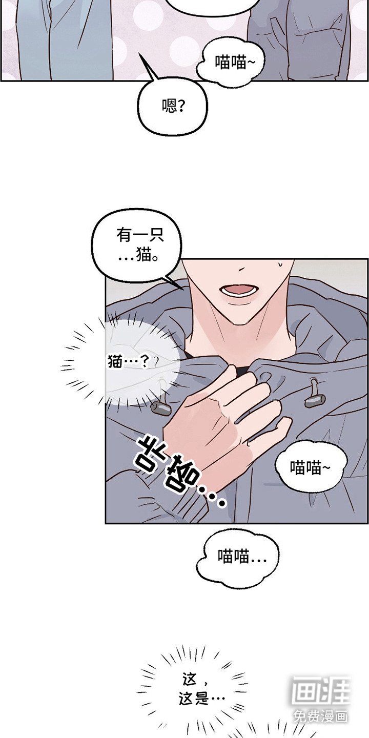第14章：心情复杂