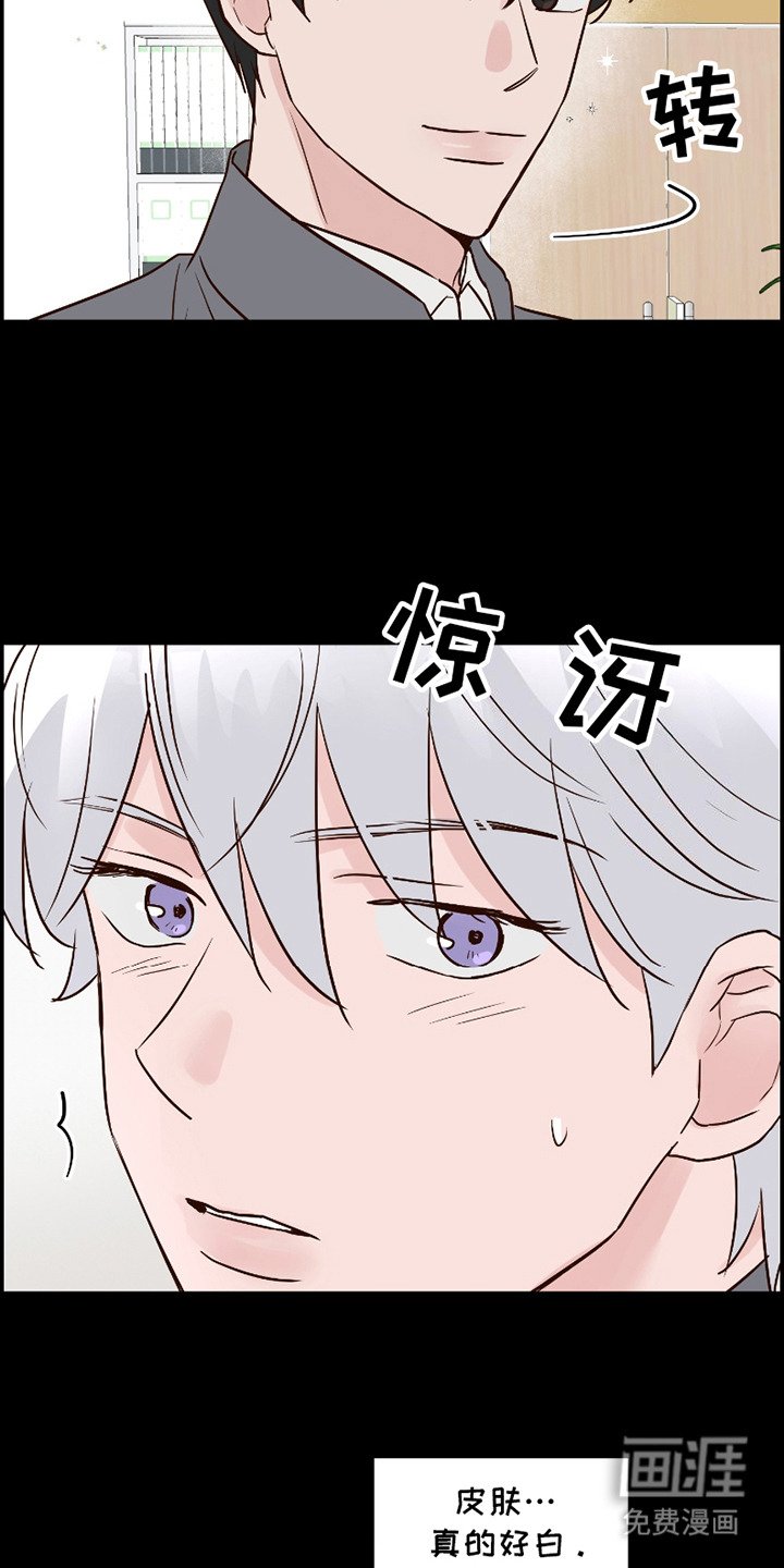 第15章：解释