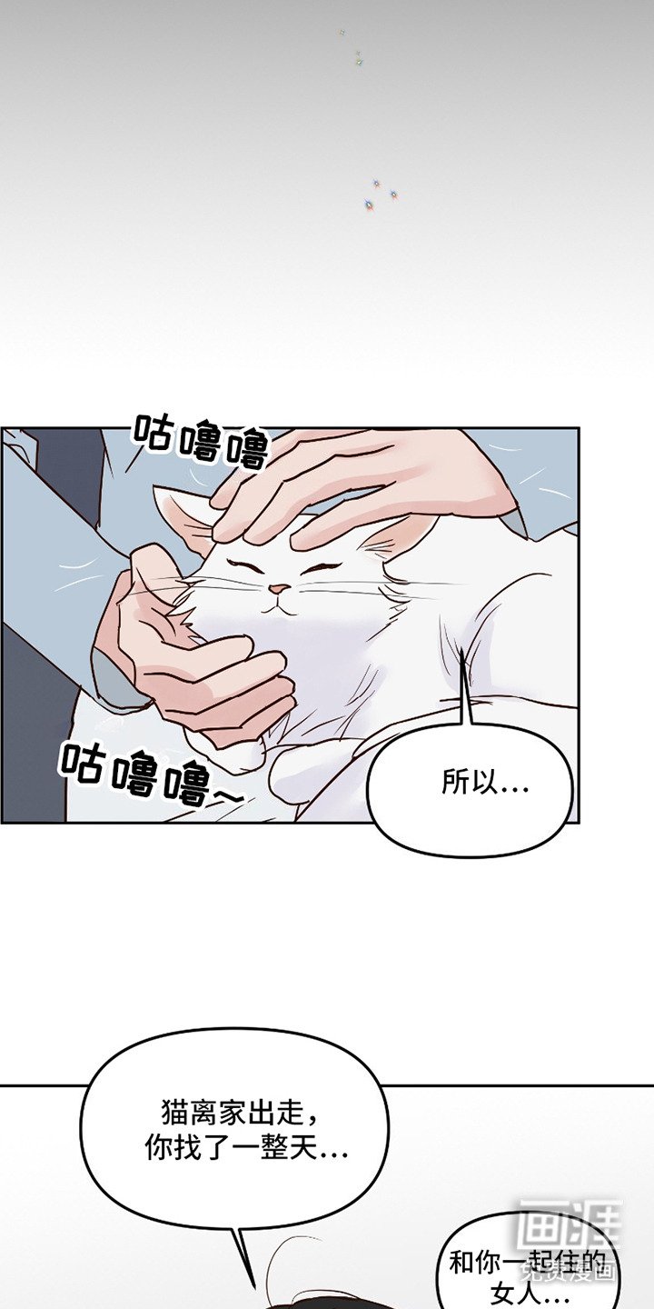 第15章：解释