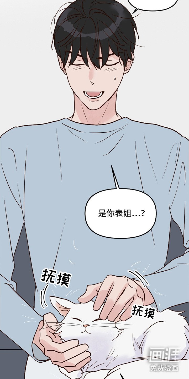 第15章：解释