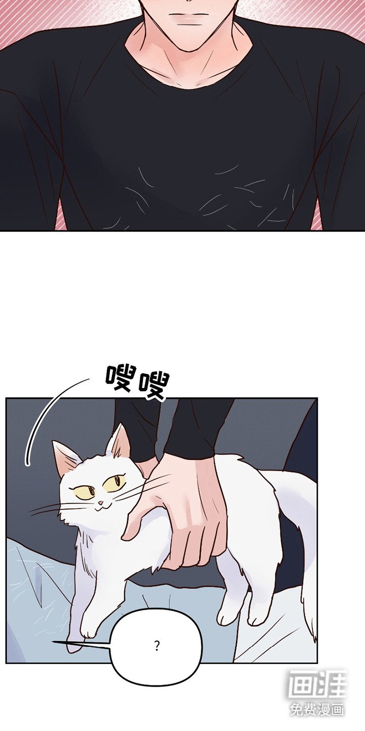 第16章：表白（完结）